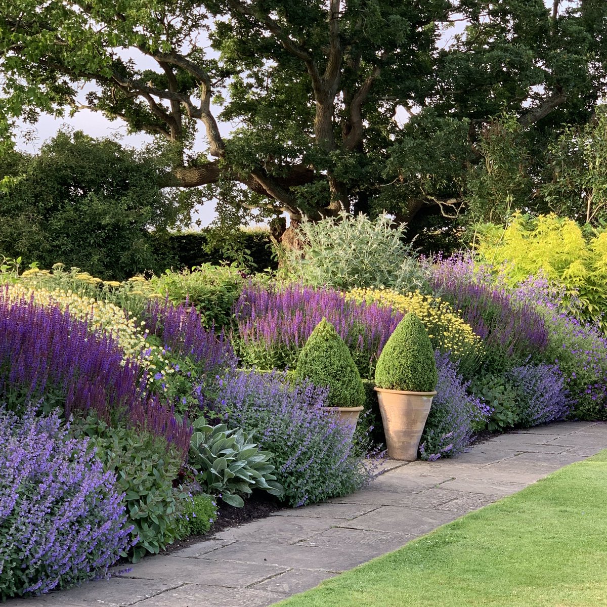 TownPlaceGarden's tweet photo. The garden is really looking good now. Herbaceous borders are alive with colour and the roses still putting on a show. Herb garden looking wonderful. Open for the #NGS on Sunday at 2. Teas cakes and a plant stall. #Sussex #gardenstovisit #700roses #topiary https://t.co/SxPczL1xKy
