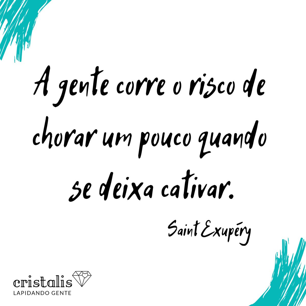 _deixeselapidar's tweet photo. 🌹#deixeselapidar #tenhaumterapeutaprachamardeseu #cativar #saintexupéry https://t.co/v6zy4VjSE0