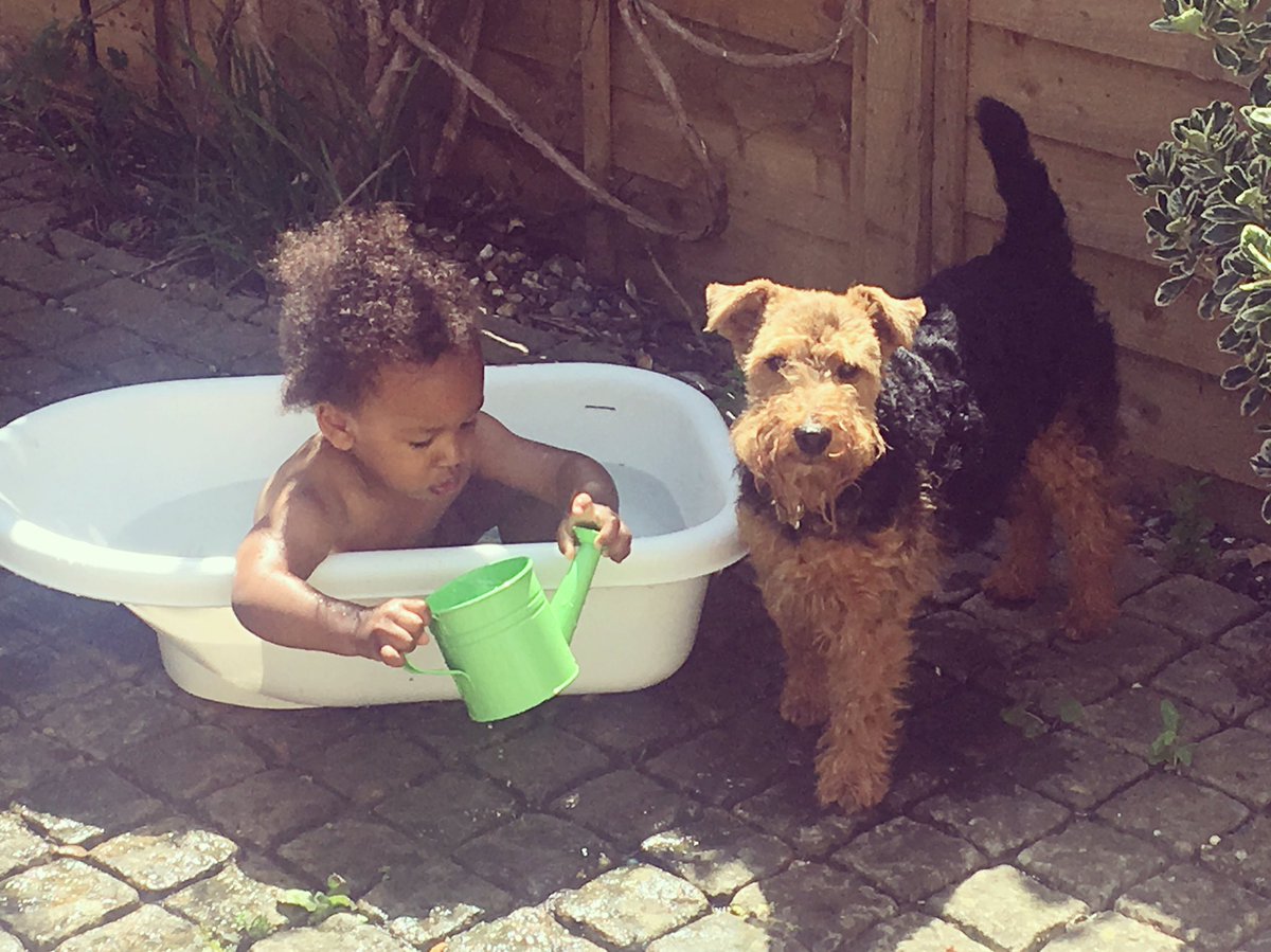 Happiness is ... having a bath in the sunshine with your doggy 🛁☀️🐶👌🏼 #happyfriday #welshterrier #babyboy