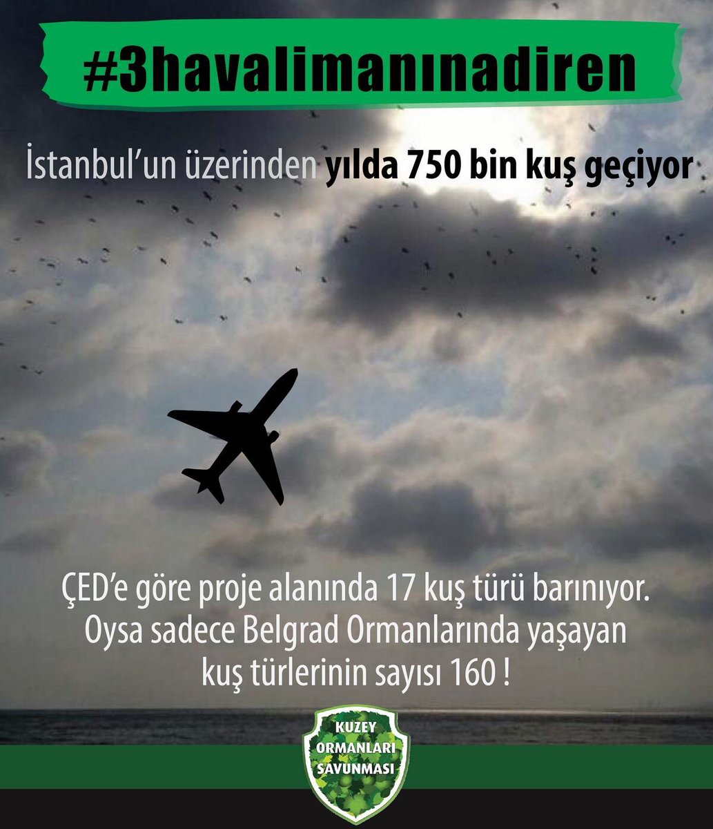 mustafahos's tweet photo. 3.havalimanı bütün uyarılara rağmen akla,bilime ve doğaya karşı yapıldı. bugün faciaya ramak kaldı oysa proje aşamasında böyle uyarılmışlardı. https://t.co/0kVEvjmuwR