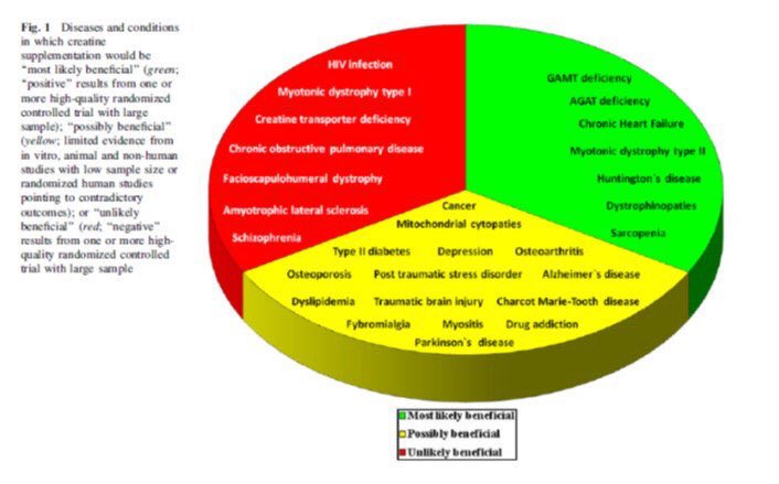 It has improved markers of inflammation.It has lowered HbA1c and the glucose response to a meal.It can improve muscle mass in the elderly as well as the young (when accompanied by resistance training).