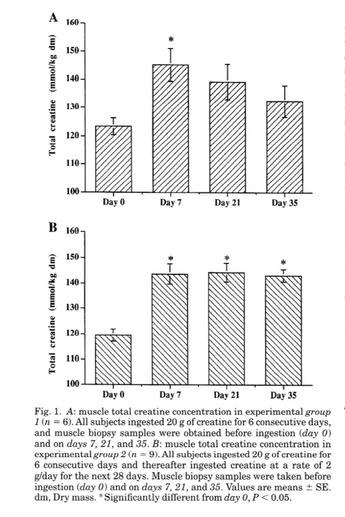 There are two basic ways that people take this. You can "load" creatine by taking 0.3 g/kg/day split into 4 equal doses (approximately 5g per dose if you weigh 150 pounds) for 5-7 days to saturate your muscle creatine stores followed by 3-5 grams per day.