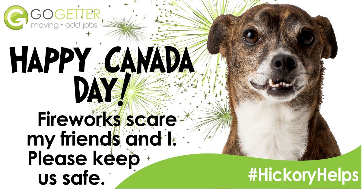 Happy Canada Day to everyone! Remember to keep your pets safe as there will be a lot of fireworks this weekend.