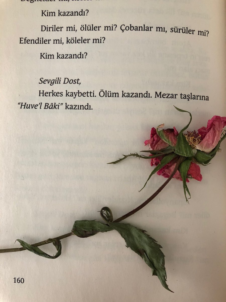 O gün bana, çocukluğumdan beri görmeye alışık olduğum o çarpık gülüş ve gencecik bir bedenin gömüldüğü yerdeki onlarca çiçek içerisinden aldığım küçük bir dal hatıra kaldı.