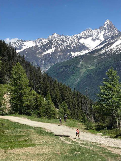 missval22's tweet photo. Qui a déjà fait la rando à Planpraz/Who has already done the hike in Planpraz?
https://t.co/2EWzOMPJtq
#hautesavoie #chamonix #planpraz #montblanc #cablecar #telepherique #rando #hiking #montagne #mountains #photography #nature #altitude #paysage #landscape #vacances #holidays https://t.co/hTEfOf9mdB