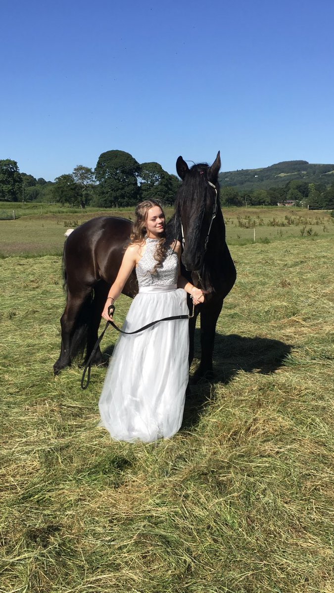 _ameliajaynee_'s tweet photo. Think I definitely had the best pre prom 🦄💗 https://t.co/PeBH18xz3n