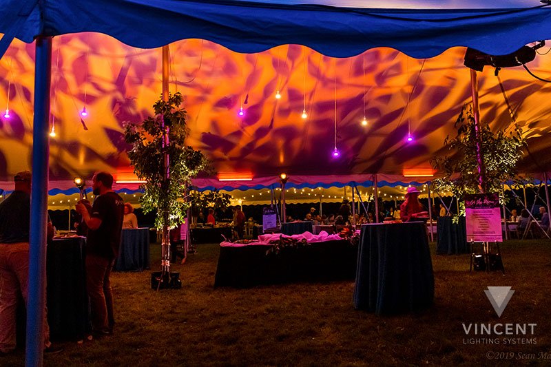 vincentltg's tweet photo. Pics from @forcvnp's Topography event. Our new #rental @Asteraofficial Titan tubes lit up the band, pavilion, and gathering tent. Our film generator provided power, with no noise issues.
#tentlighting #eventlighting #forcvnp #eventpower #titantube #wireless #LED https://t.co/1IlQFW5PEi