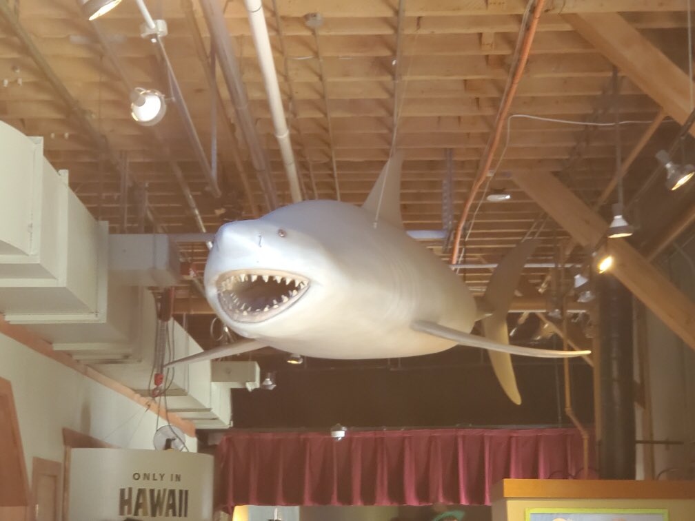 WapatoSD's tweet photo. #WapatoHS Our ☀️Summer “Survivor” Freshmen☀️ enjoying their field trip to the 🐟 Seattle Aquarium 🐠 #SurviveAndThrive #CoolKidsClub #TheLeaves #LoyalLobos #TimberWolves #Pack10 https://t.co/dr4e4M59v6