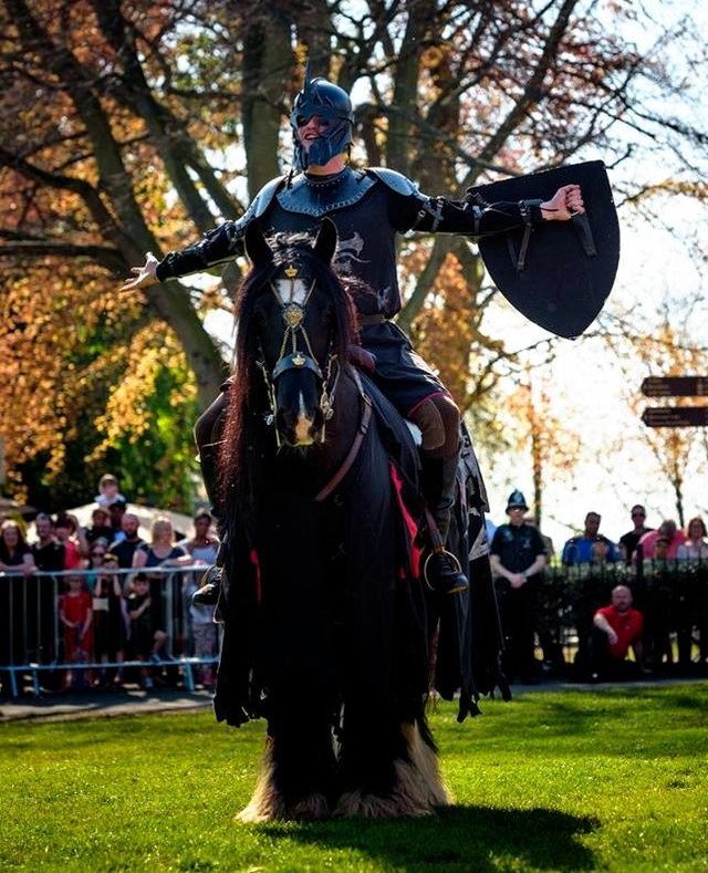 #FRIDAYKNIGHTFIGHT

YOU CAN'T DEFEAT ME!  I WILL BE BACK!

Guinness looking completely non-plused and wondering when dinner is! 🥕🥕🥕

The culmination of a special story week from the Knights of the @cavalryofheroes from 7am this morning until 8pm … ift.tt/2YjNxdz
