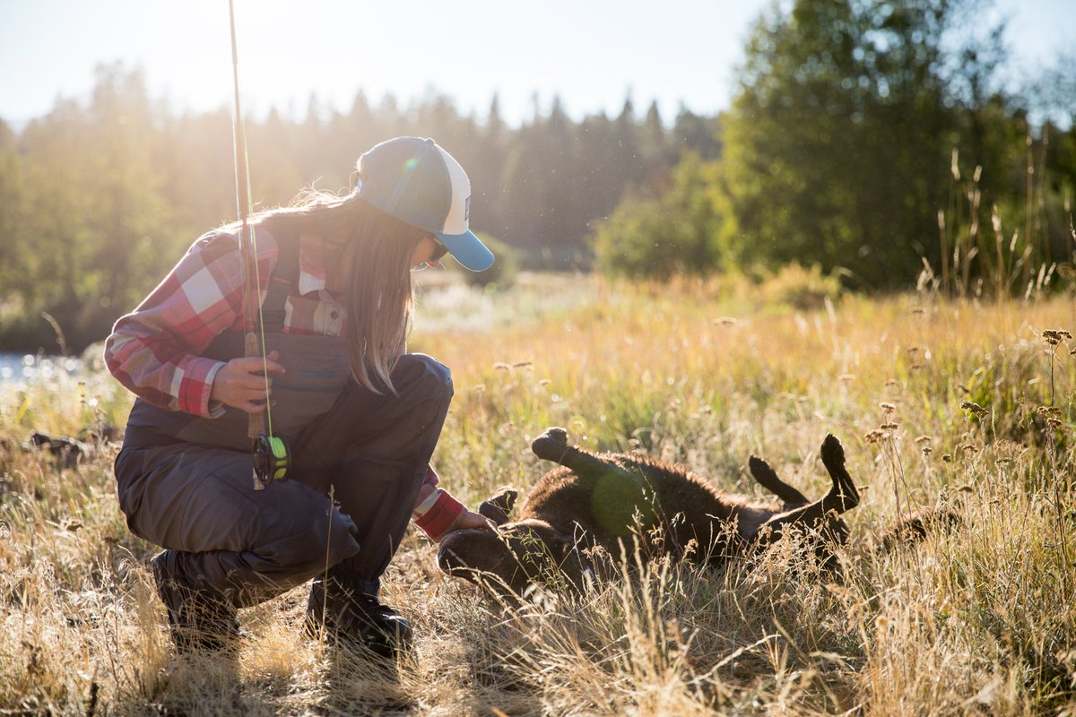 Ruffwear tweet media