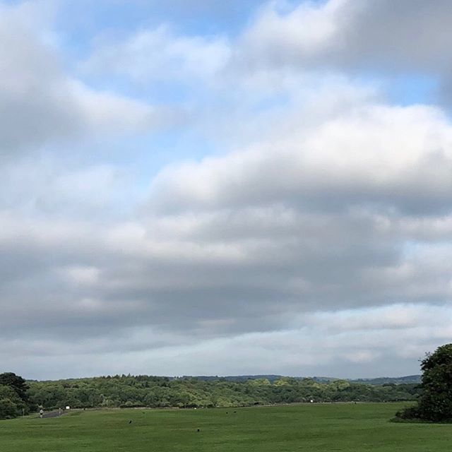 FiBarkerDesign's tweet photo. I love good views, it reminds me that our environment help us to create our dream life, My advise today is just take a small step of action and doing something is better than nothing! Remember to celebrate that! 
Share this with a friend who needs to see… https://t.co/YaQVc3Mkk3 https://t.co/bBOkUp0utG