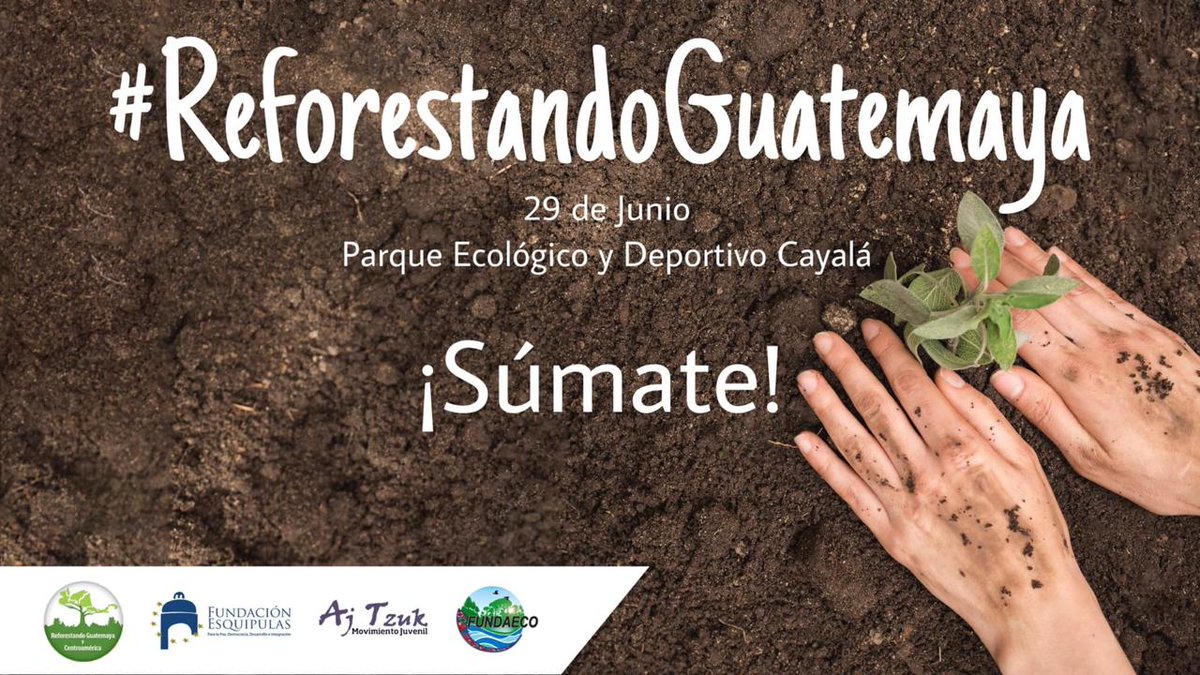FundaEsquipulas's tweet photo. Mañana les esperamos en el Parque Ecológico y Deportivo Cayalá, uno de los puntos de reforestación de la Campaña #REFCA, un esfuerzo de @fundaecoguate, el Movimiento Aj Tzuk y la @FundaEsquipulas.
#YoReforesto por una ciudad sostenible que proteja su patrimonio natural. https://t.co/RpUCnernpn