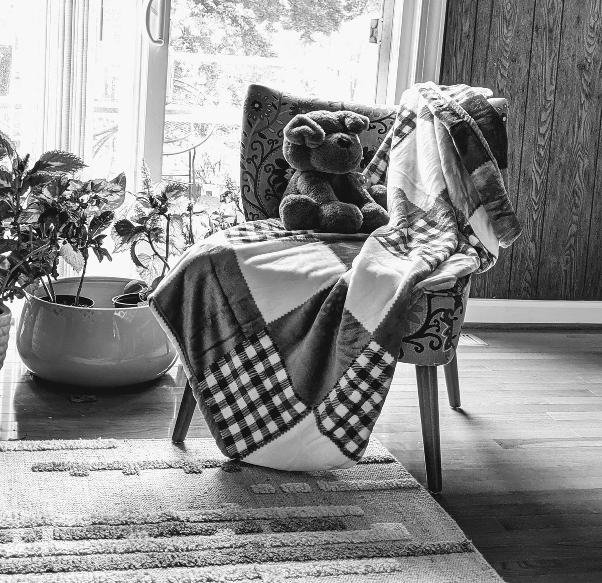 TacheHF's tweet photo. Cozy blanket + movies + dinner = perfectly lazy summer nights. ❤
These farmhouse throws are perfect for adding color and style into any bedroom or living room.
https://t.co/UkNQ4lmqTy
Soon to go on sale for Amazon prime day 😉
#summernights #homebody #farmhousedesign #cozyhome https://t.co/O8p4zNAjgN