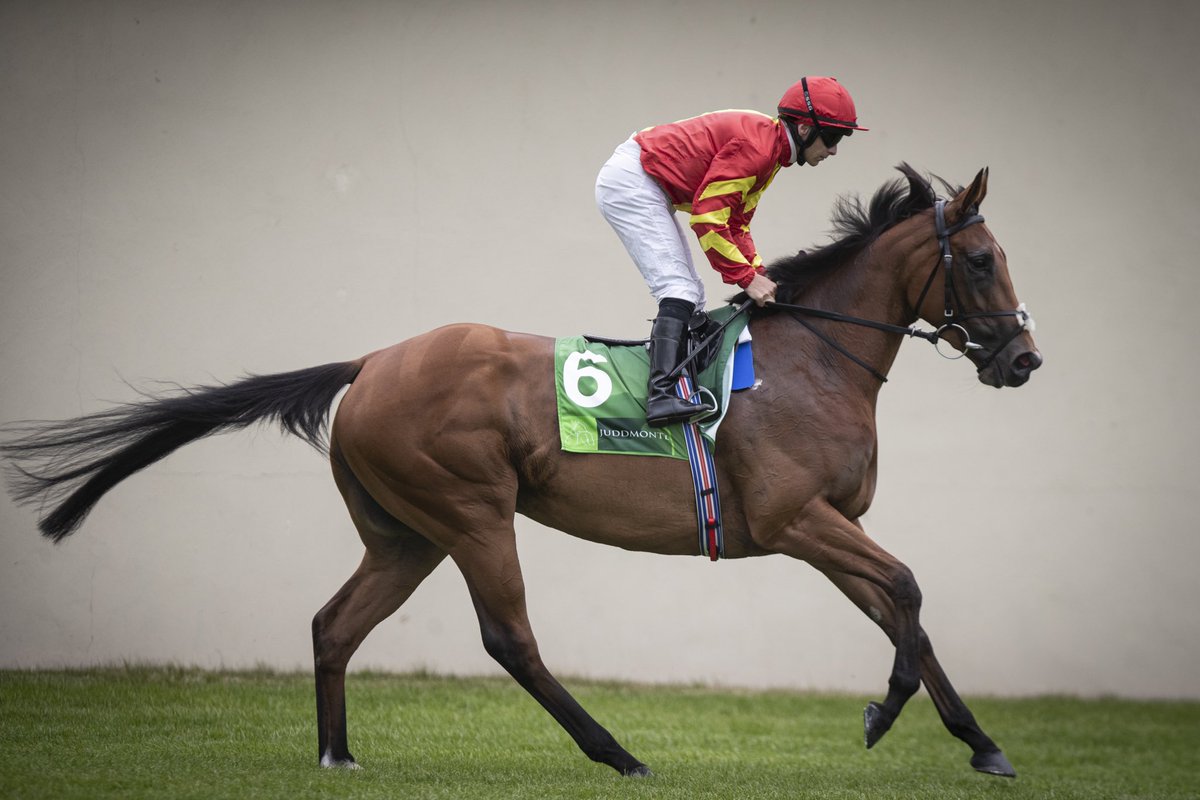 Iridessa 😍 <a href="/JosephOBrien2/">Joseph O'Brien</a>