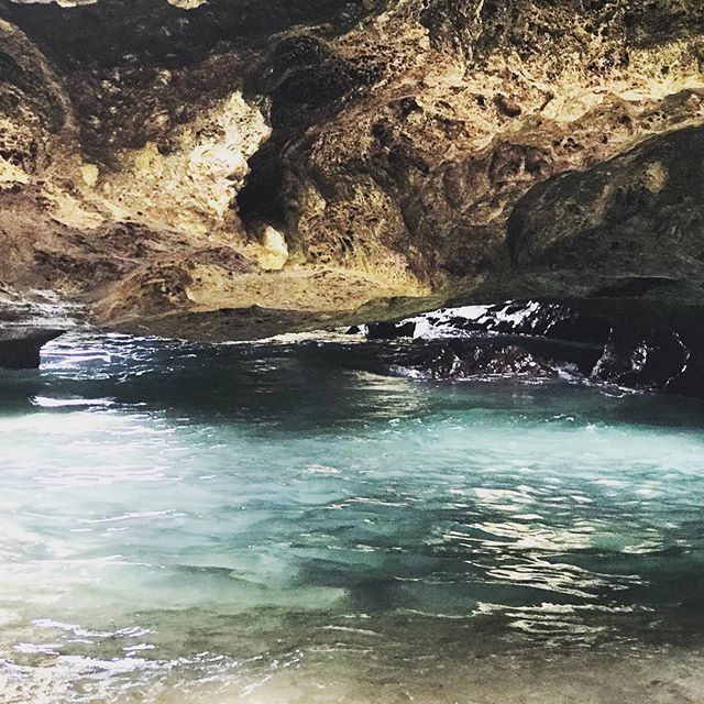 larisamajors's tweet photo. π§ββοΈStarting the weekend as a mermaid π§ββοΈ #mermaidcave #nanakuli #westside #oahu #weekend #summer #majorssummer2019 #adventuring #friyay #dayoff #alohafriday #needaladder https://t.co/nln4inKsMf https://t.co/6JQbcvlXnx