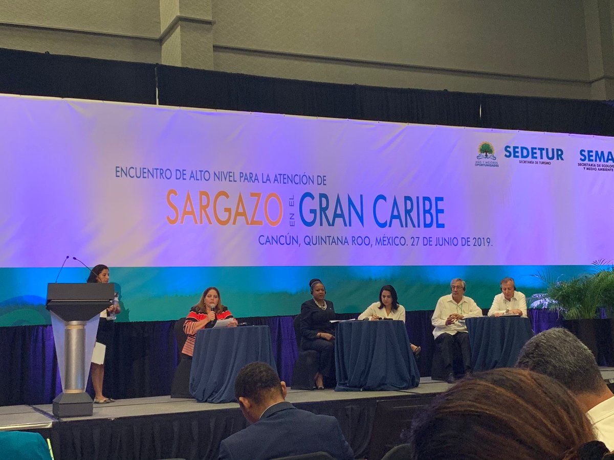 FilippoStrano's tweet photo. Hablar de aprovechamiento industrial del #sargazo es impensable y es una perdida de tiempo, no hay garantía de abasto y no hay valiente que se atreve a invertir sabiendo que hay expertos estudiando cómo eliminar su materia prima o evitar que llegue. https://t.co/GgVX243Er4