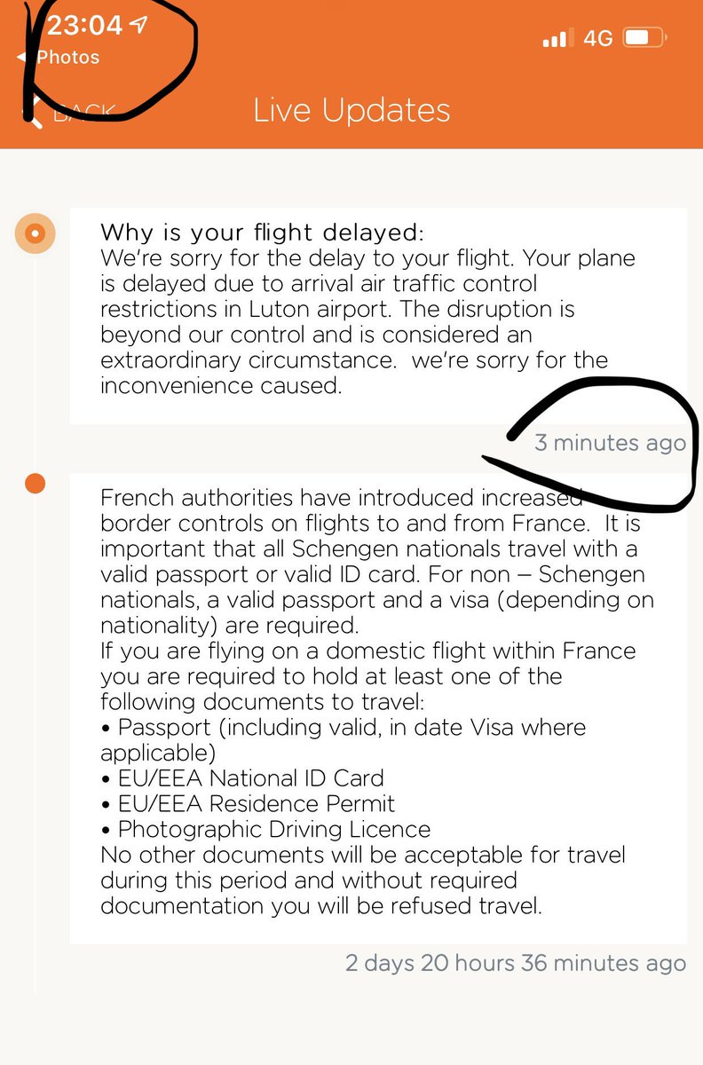 Daniele Codini tweet media