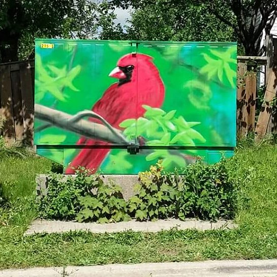 CavanaughTO's tweet photo. A fresh #bellboxmural by Ted Hamer at Lexfield and Tavistock in Ward 6 York Centre, Toronto.
#northerncardinal #birdmural #utilityboxmurals #urbannature #torontomurals #yorkcentre #toronto https://t.co/25sy34CW15
