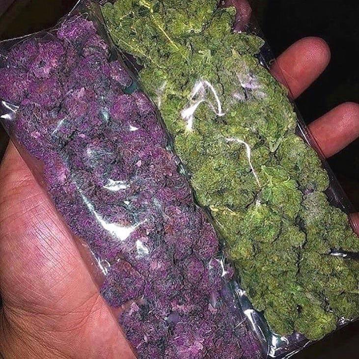 diamonkush's tweet photo. Hook up mates and have a blast of this shit 🔥🔥🥳🥳 Wickr...celinefisher113 or WhatsApp call or text +1 (352)509-6148 https://t.co/yXSl0aczOq
