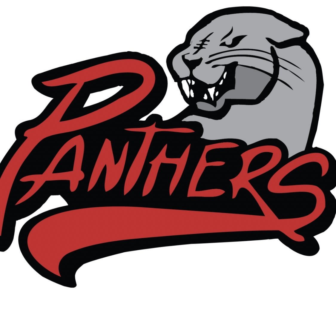 Looking forward to joining the mighty Dunnville Secondary School team in September.  Enjoy your summer panthers.
