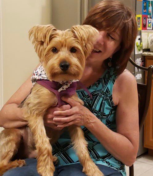 MightyMutts's tweet image. Look how happy Ricky is in his forever home!