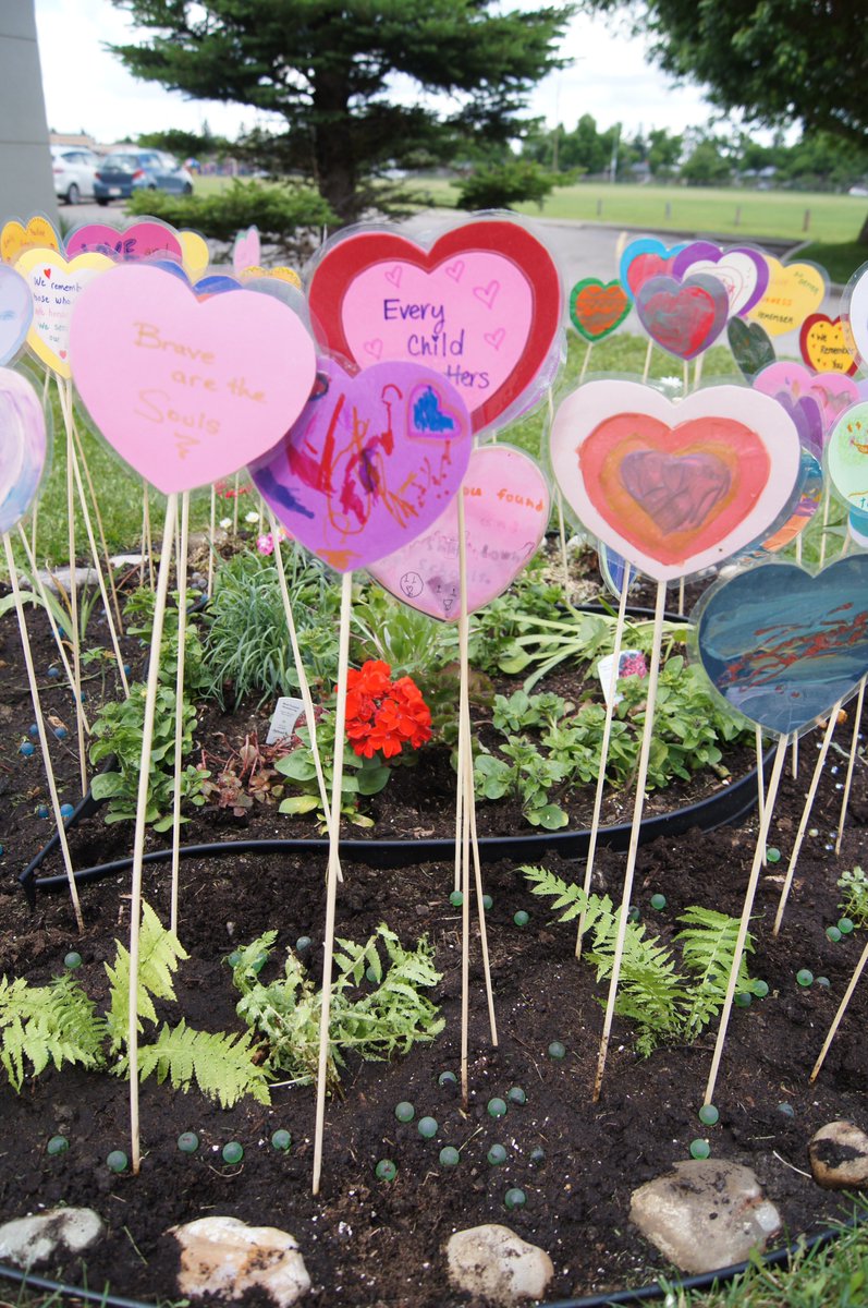 Our #TRCHeartGardens circle has perennials in the sacred colours used by the Stoney people in their customs and ceremonies. 60 hearts were planted in memory of residential school survivors. @AcadiaToday #acadiayyc @CaringSociety  @cblackstthe #HonouringMemoriesPlantingDreams