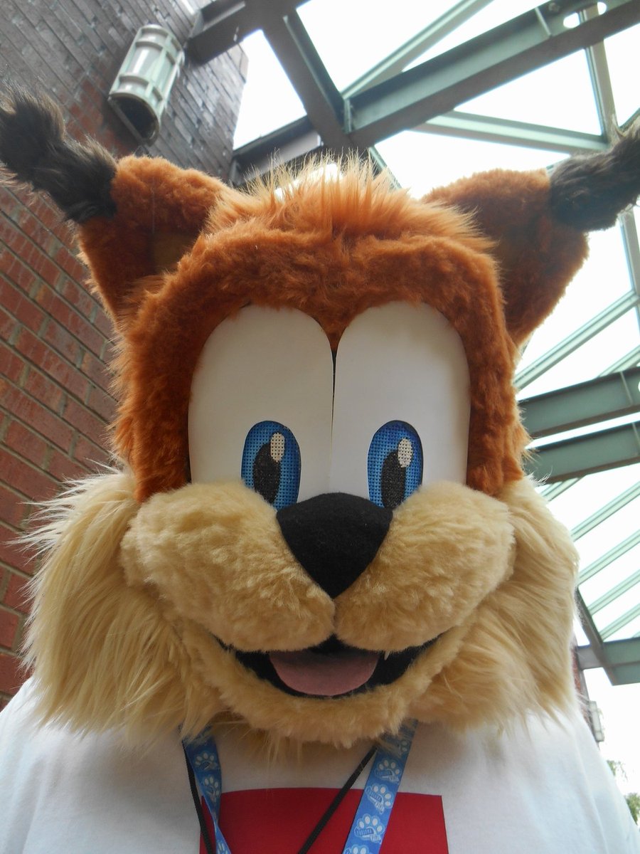 RustyTheBobcat's tweet photo. Feeling cute. May go collect some yarn later. IDK #Bubsy #BubsyPawsOnFire #BubsyTheBobcat #BubsyBobcat #Cosplay #BubsyCosplay #FursuitFriday #Fursuit #ComicCon #Libcon #LibCon2019 #JCPL https://t.co/CXKSUTEPqM