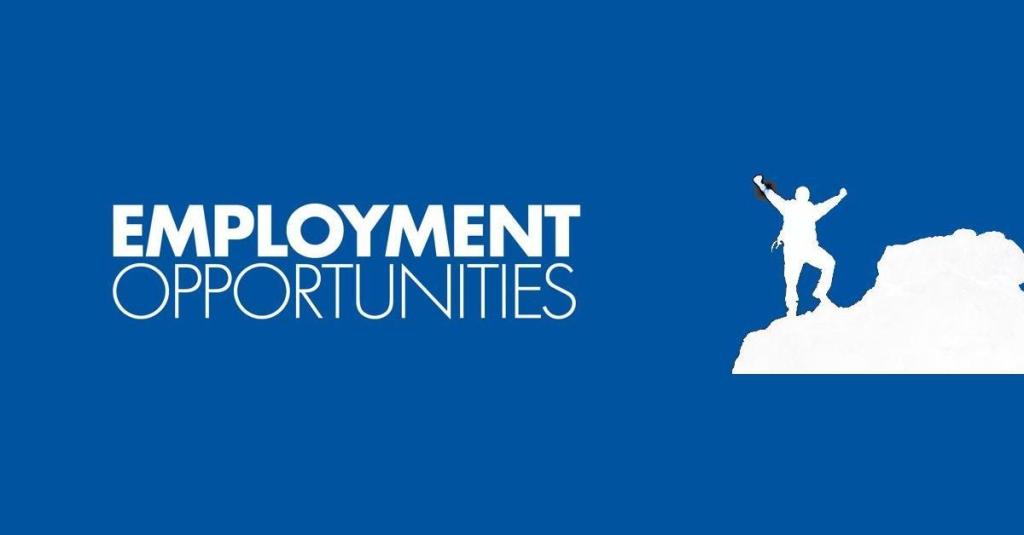 GuideToCardinia's tweet image. Job Vacancies June 23 – 29 cardiniashire.com.au/job-vacancies-…