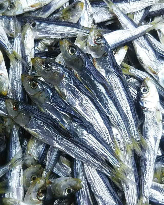 ひらご Twitter Search Twitter