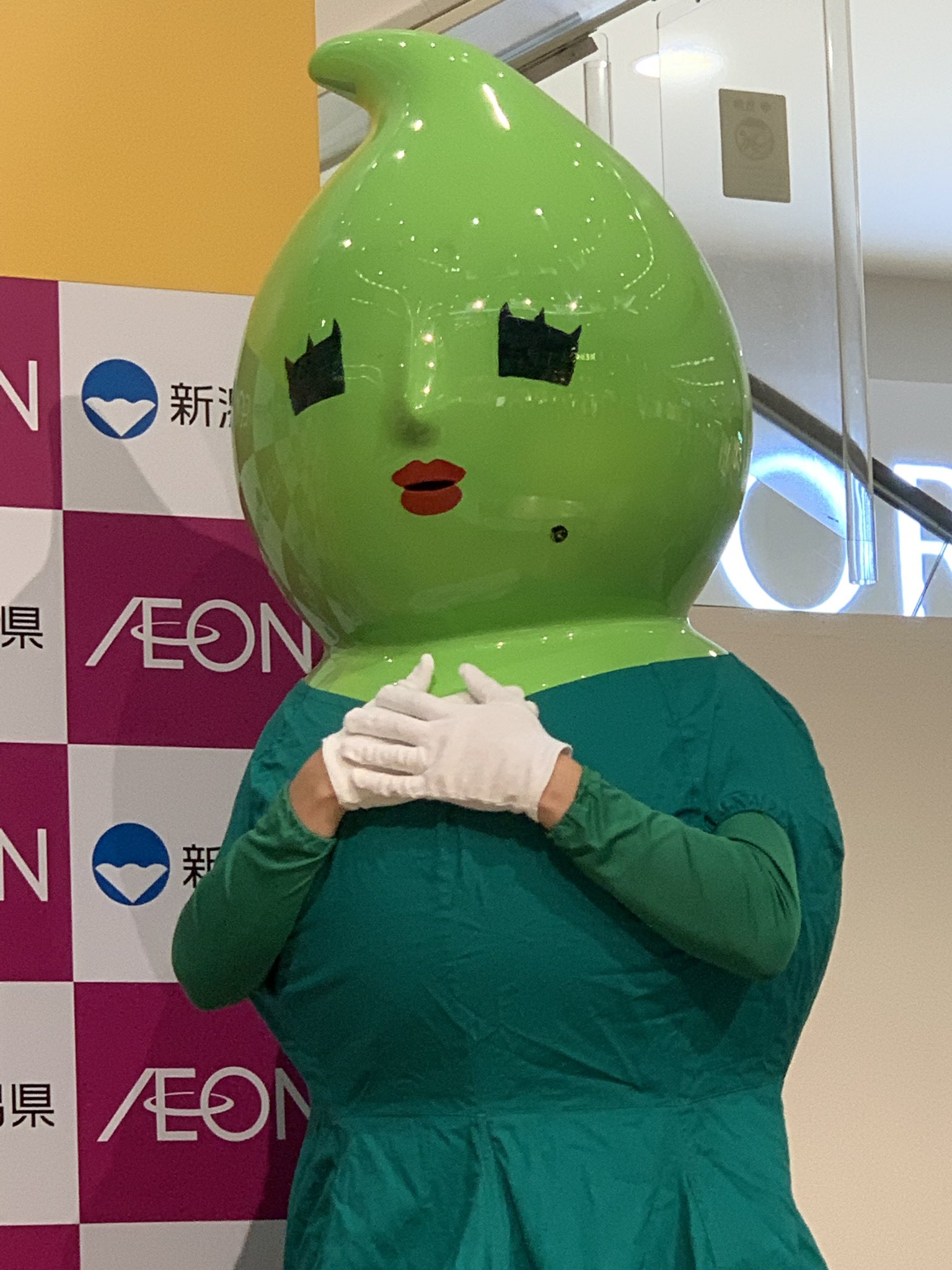 もり マメリン 新潟県長岡の枝豆ｐｒキャラクター マメリン 新潟フェア T Co Xkipfnpyk6 Twitter