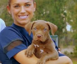 strackerdogs's tweet image. #AlexMorgan# #dogcollarelectricfence #wirelesscollar #sportdogtrainingcollars #kaolinpectinforcats #pif275collar #petsafewirelessfencecollar #invisibleelectricdogfence #petsafedogcollar #radiodogcollar #wirelessdogdoor 
#dogs#dog#cute#cutest#puppy#pupp#Alex Morgan#