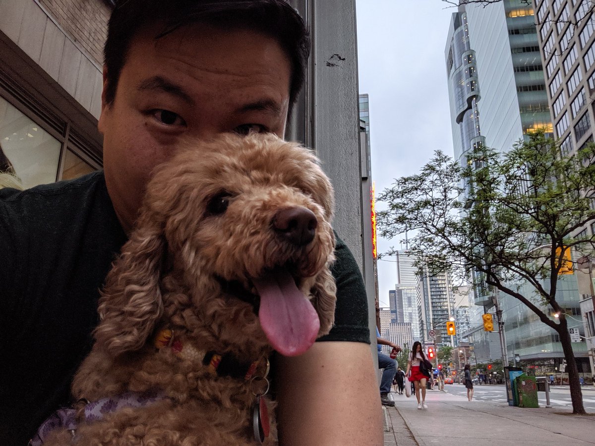 bfchangTO's tweet photo. Taking the #Doggo out for #bubbletea on a campaign break. Davis gets to walk and pee. Brian and Jeff get bubble tea. #labothery #realchang https://t.co/bM2w8bl1BJ