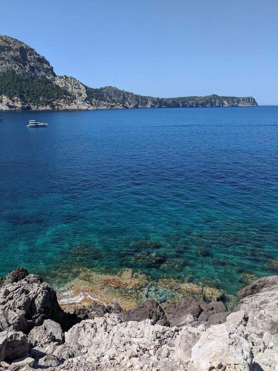 TheJohnJose's tweet photo. Today's office. #MallorcaSpain https://t.co/EVmhZFSpoX