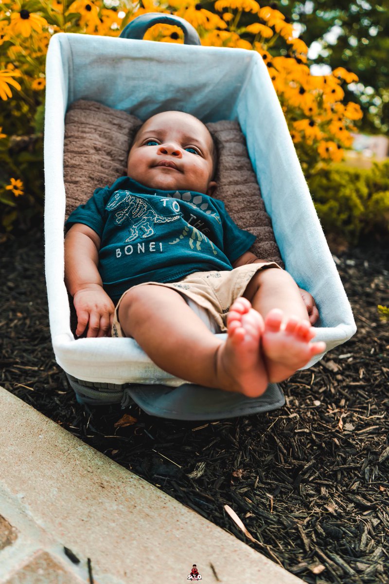 Its_MyAmbitionN's tweet photo. 🌻👶🏽📸#SoLoVisualz https://t.co/aQPJRqBZ7c