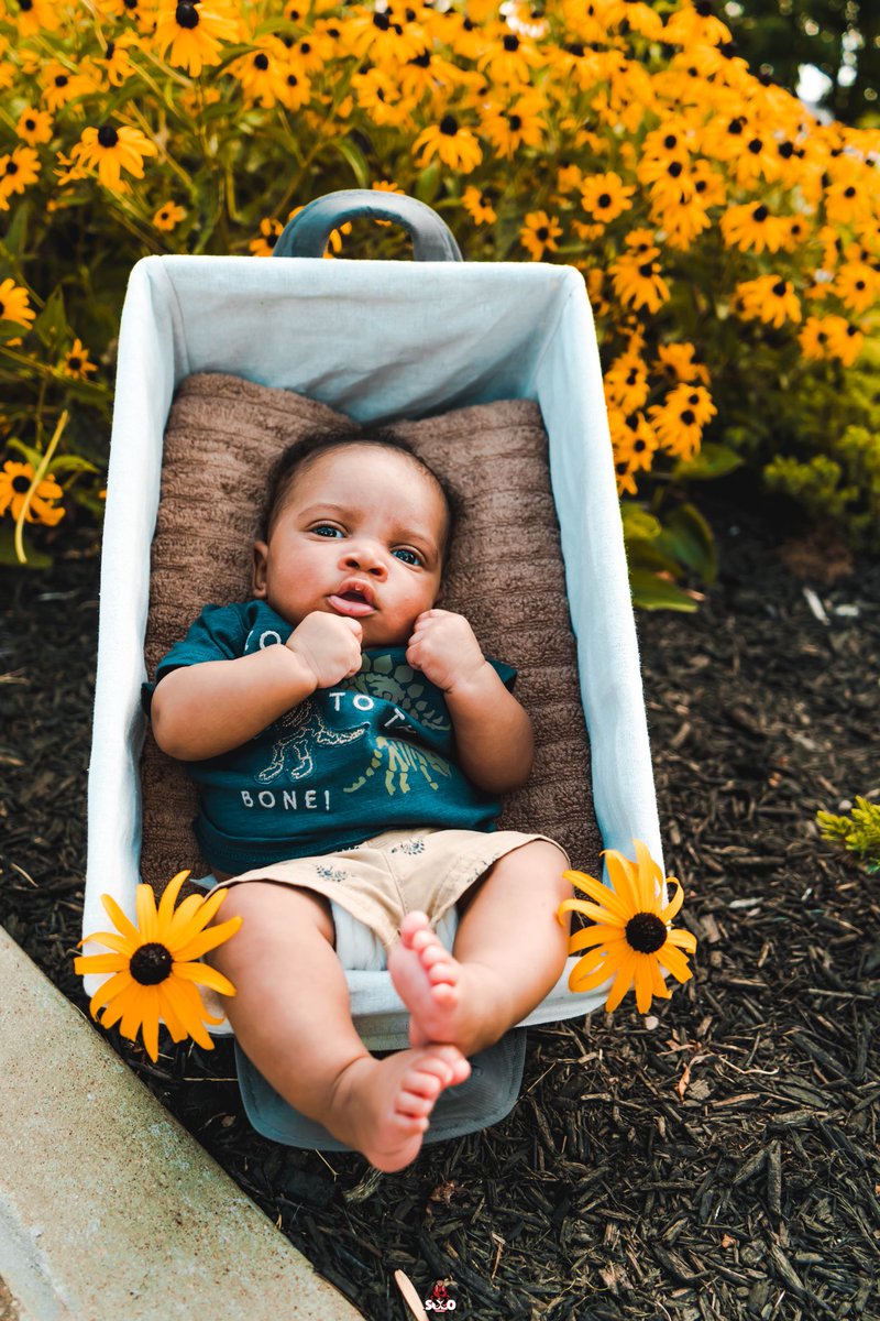 Its_MyAmbitionN's tweet photo. 🌻👶🏽📸#SoLoVisualz https://t.co/aQPJRqBZ7c