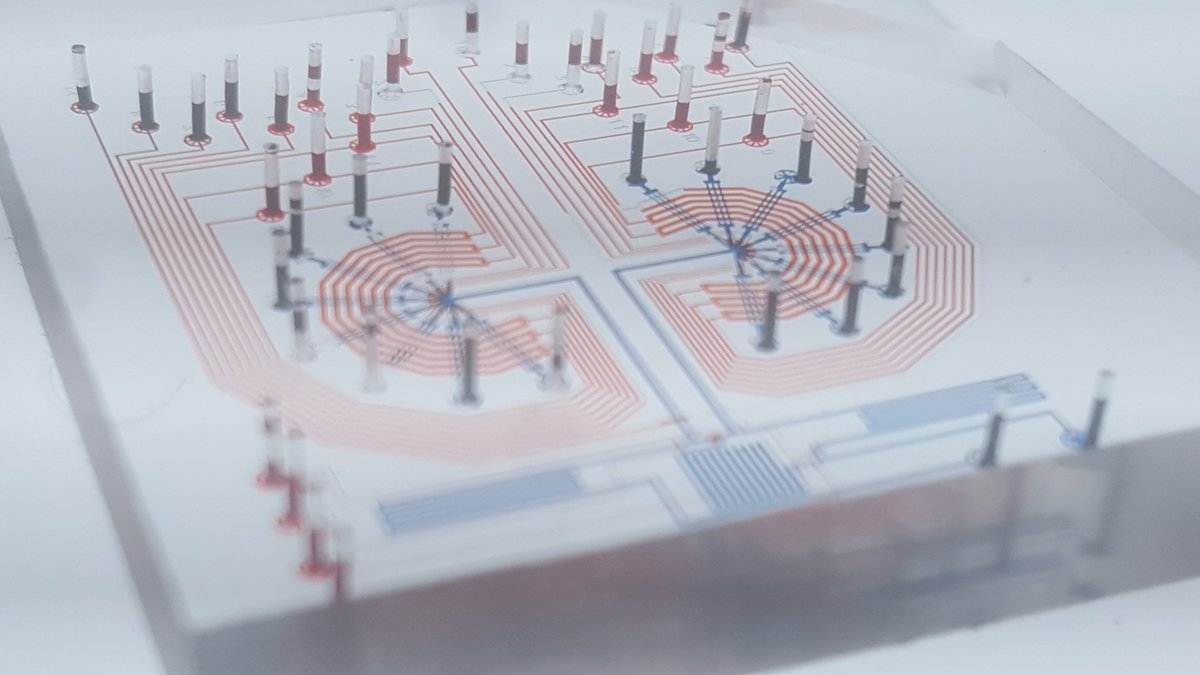 My #Art, literally mixing biology with engineering
#Science #myFirstTweet