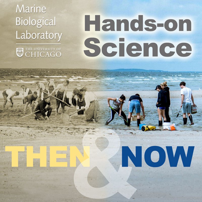 MBLScience's tweet photo. Support #MBLScience, where research & education has always focused on fundamental biological discovery, exploring the origins, diversity, and nature of life. Your contribution helps support the hardest-working students in the field (or on the beach)! https://t.co/nsFtwDK8wg https://t.co/e8mDqVP1lX