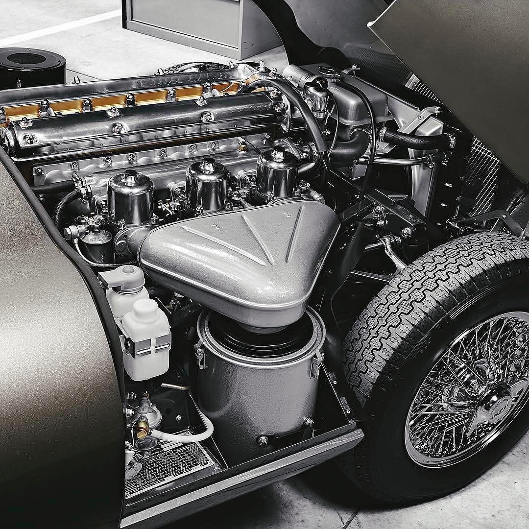 Life Is Savage tweet media