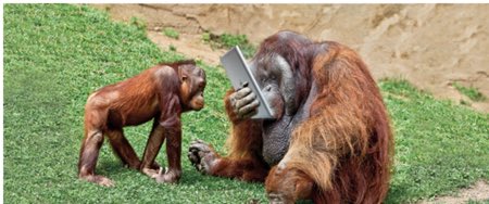 In six words or fewer, write a story about this photo.
#sixwordstory #writingcommmunity