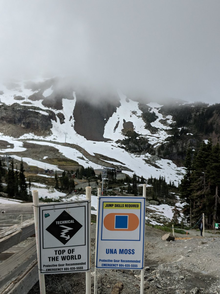 Alinga Web Design tweet media