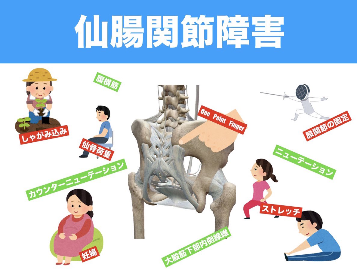 仙腸関節障害 Twitter Search Twitter