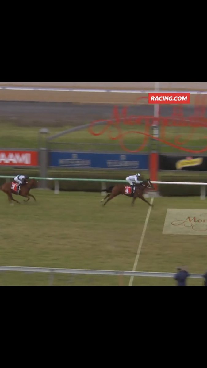 AnthPanozzo's tweet photo. #excitinghorsewithbestmates well done @Laming_Racing
#hardpress 👏👏 https://t.co/fbH59AdVqU