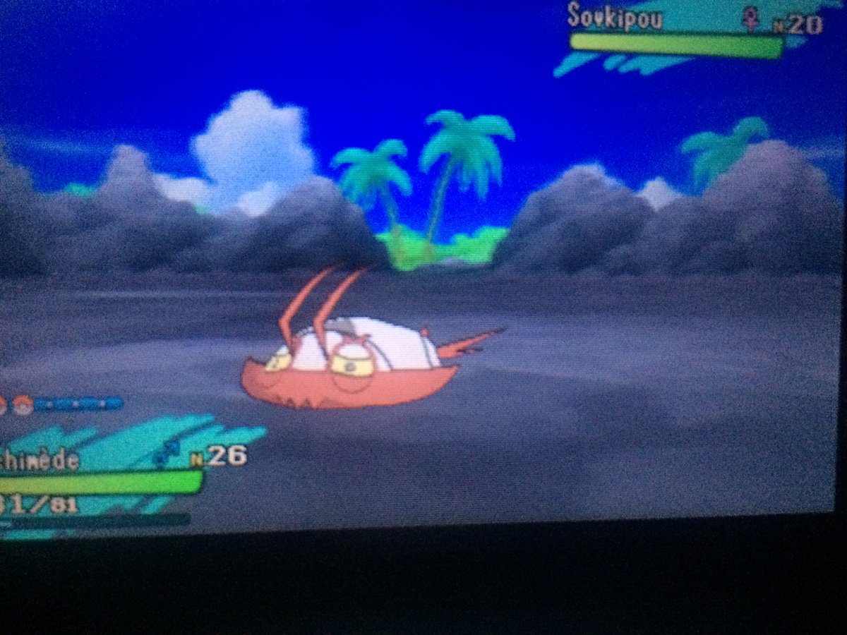 torkarra's tweet photo. Sovkipou shiny en 219 resets après un gros fail lors de mon SQ sur Pokémon Lune. (Je sais vraiment pas ce qu’il se passe en vrai, j’ai jamais eu autant de chances avec la RNG de ma vie, je suis littéralement sous le choc.) https://t.co/lLqeHCxmWY