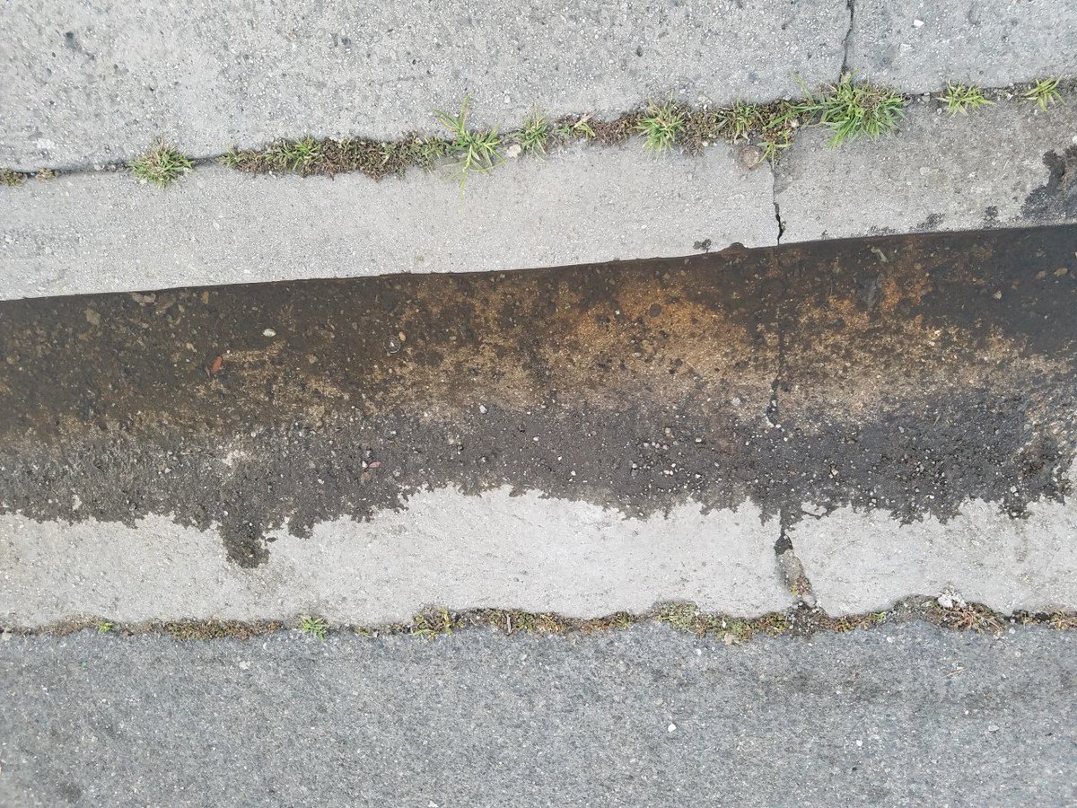 lucybell1918's tweet image. @drdrew Here's your  petri dish #SFV San Fernando Valley  Wonder what this is breeding ? Algae Sludge Algae,Sludge and Trash #CaliforniaFail #RecalThemAll This is NOT the envy of the world @GavinNewsom