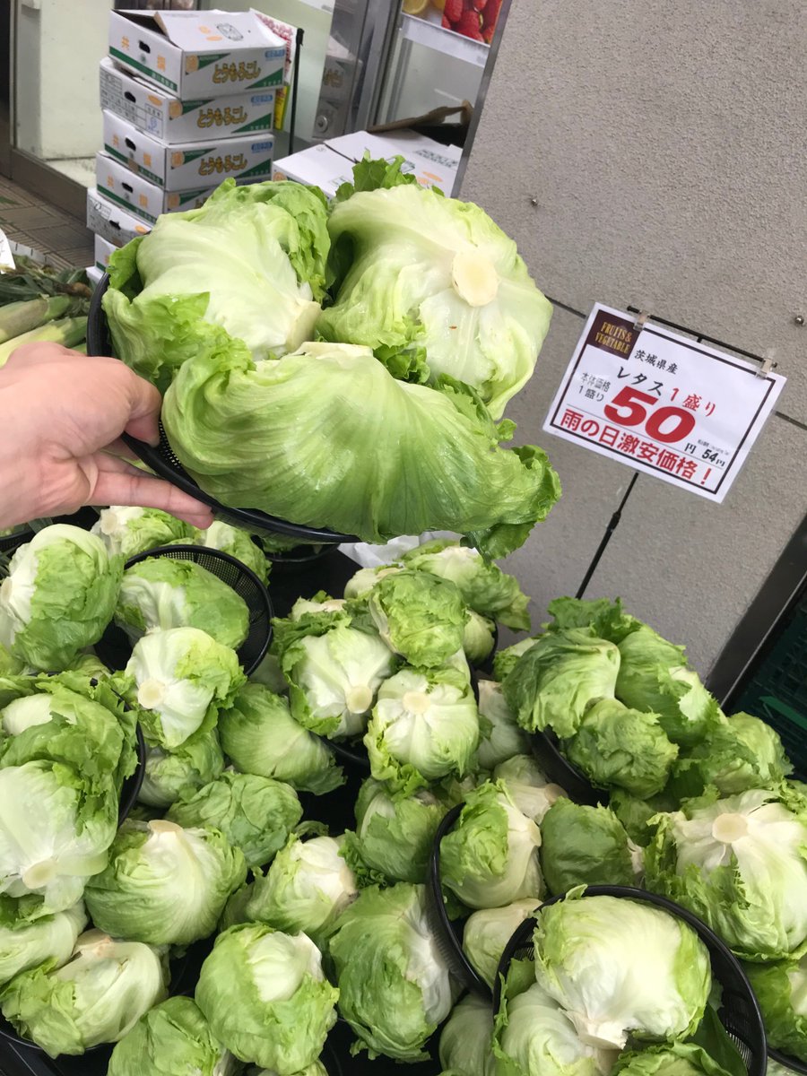 多慶屋 たけや 53週連続プレゼントキャンペーン実施中 على تويتر 本気で値札の付け間違いかと思って担当に確認しちゃいました コレ レタスが1盛50円 ３玉入ってます とうもろこしもこのボリュームで300円 多慶屋 上野