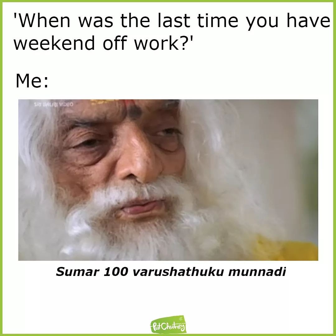 Put Chutney tweet media