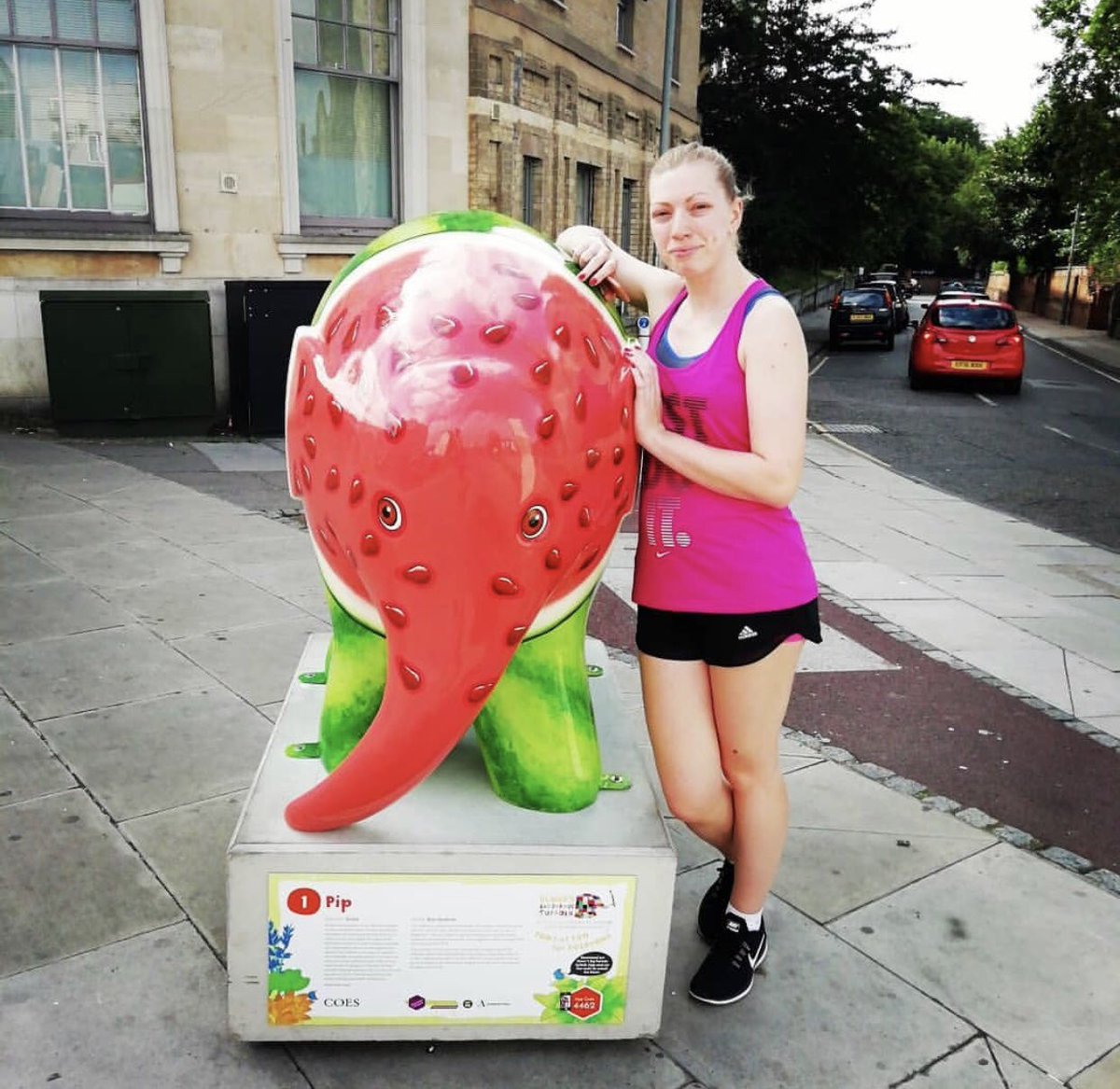 ElephantPip's tweet image. I’ve been having the best week meeting so many of you! Here are just a few of the selfies you’ve tagged me in😆 Who’s popping into town today to see me and my family? ☀️🎉#elmersbigparadesuffolk #elmersuffolk19 #elmertheelephant #Ipswich @ElmerSuffolk19 #selfietime