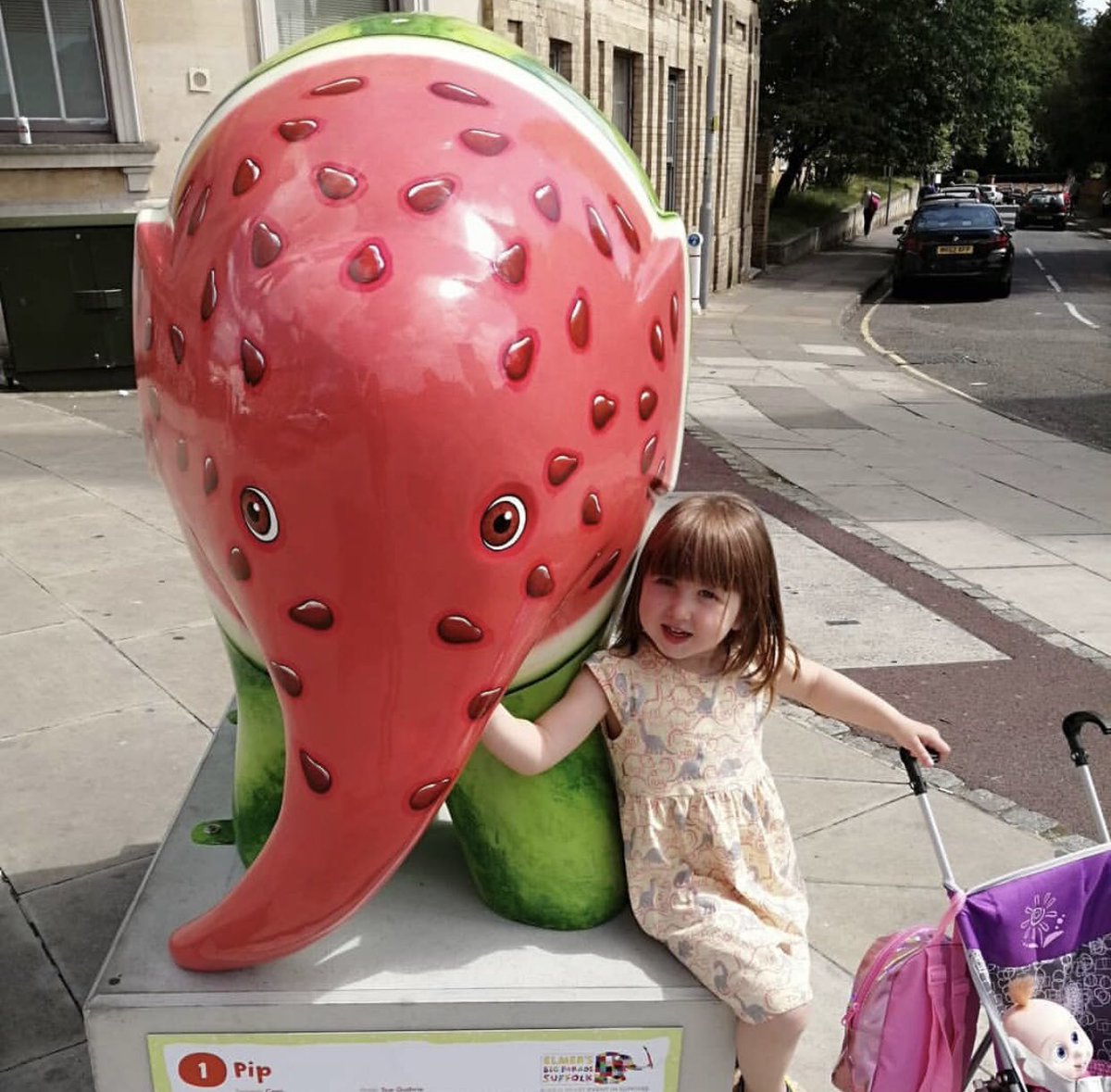 ElephantPip's tweet image. I’ve been having the best week meeting so many of you! Here are just a few of the selfies you’ve tagged me in😆 Who’s popping into town today to see me and my family? ☀️🎉#elmersbigparadesuffolk #elmersuffolk19 #elmertheelephant #Ipswich @ElmerSuffolk19 #selfietime