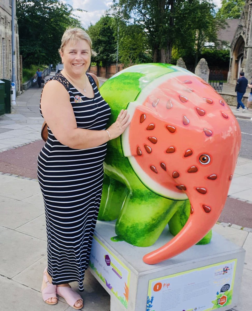 ElephantPip's tweet image. I’ve been having the best week meeting so many of you! Here are just a few of the selfies you’ve tagged me in😆 Who’s popping into town today to see me and my family? ☀️🎉#elmersbigparadesuffolk #elmersuffolk19 #elmertheelephant #Ipswich @ElmerSuffolk19 #selfietime