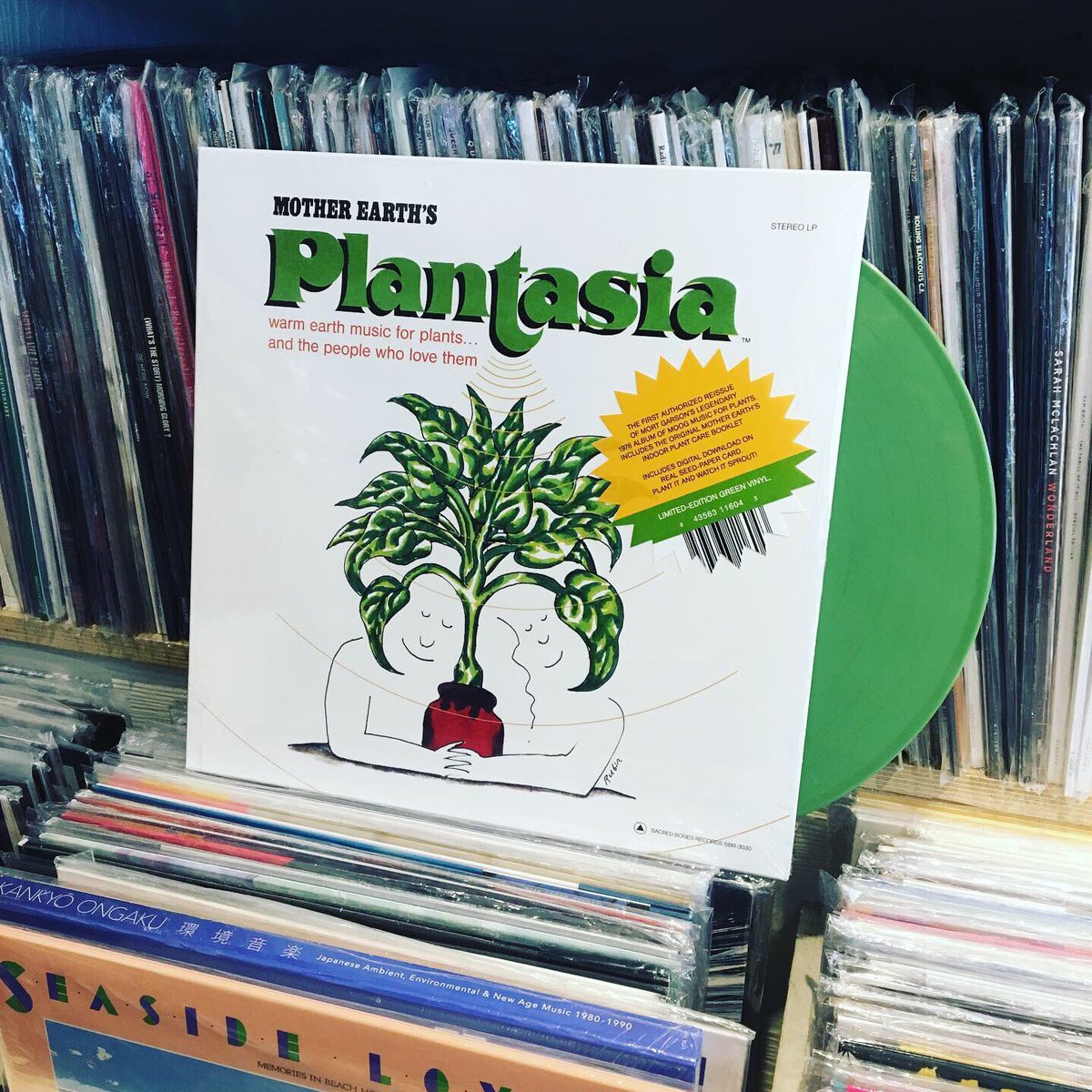 식물을 위한 앨범, 식물을 위한 따뜻한 음악... 이런 주제로 76년에 발표되어 호평도 받고 화제가 되었던 작품입니다. 식물들이 평가를 할 수는 없을테고 사람 귀에 좋게 들렸다는 얘기죠. #MortGarson 의 무그 연주 앨범 Mother Earth’s Plantasia가 드디어 최초로! 공식 재발매반이 나왔습니다.